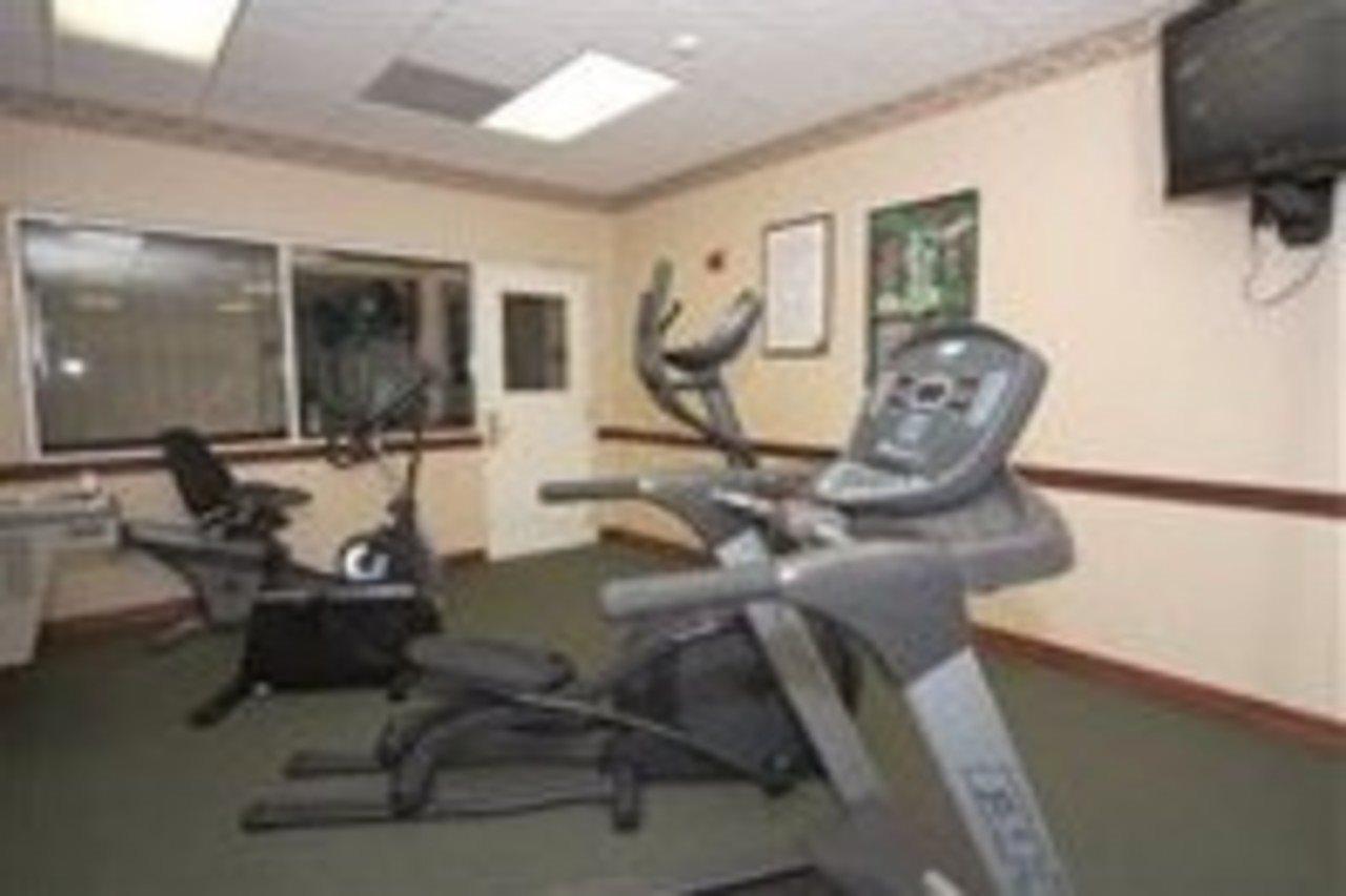 Best Western Plus Hobby Airport Inn And Suites Houston Servizi foto